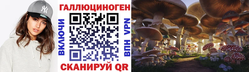 Псилоцибиновые грибы MAGIC MUSHROOMS Купить закладки Вилючинск